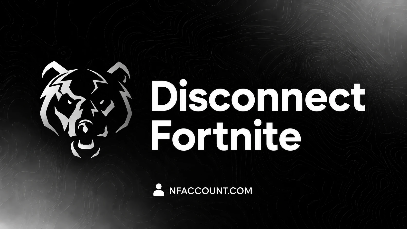 Disconnect Fortnite
