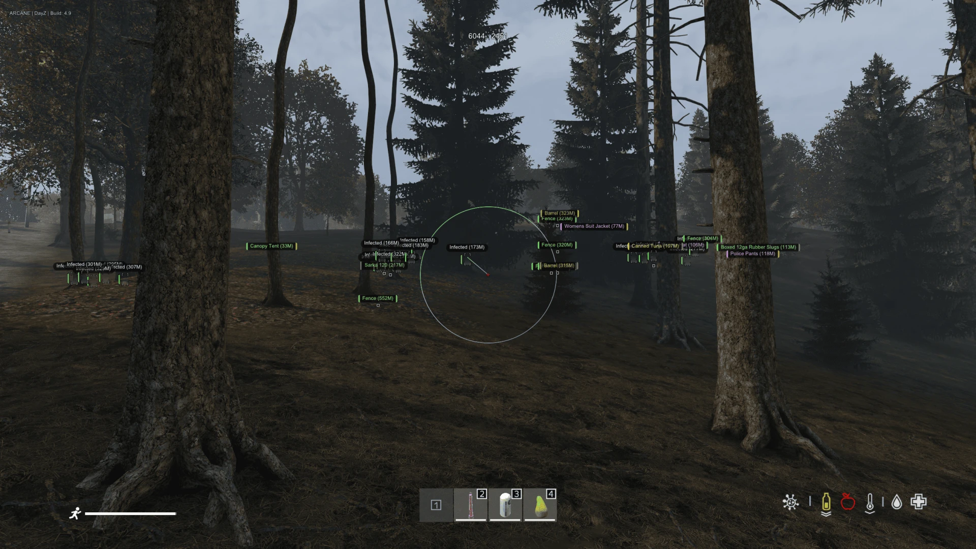 Arcane DayZ image 3