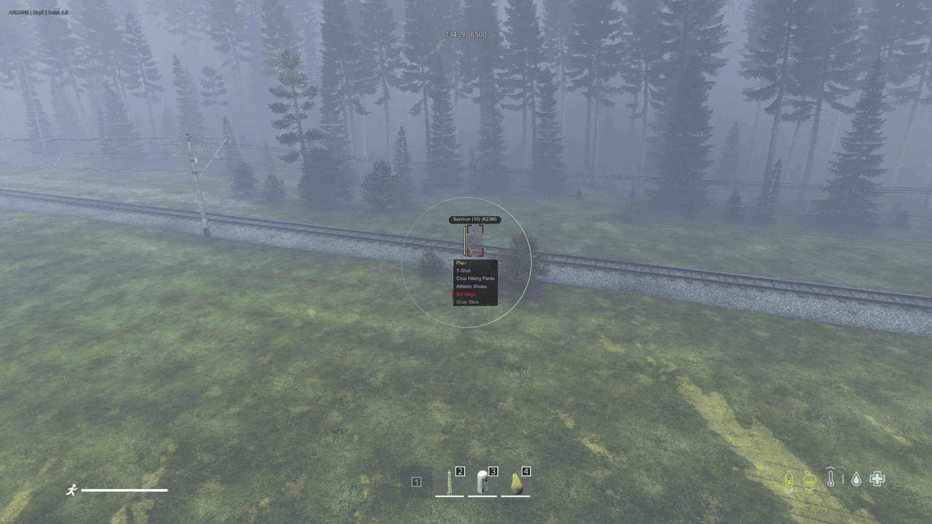 Arcane DayZ image 5