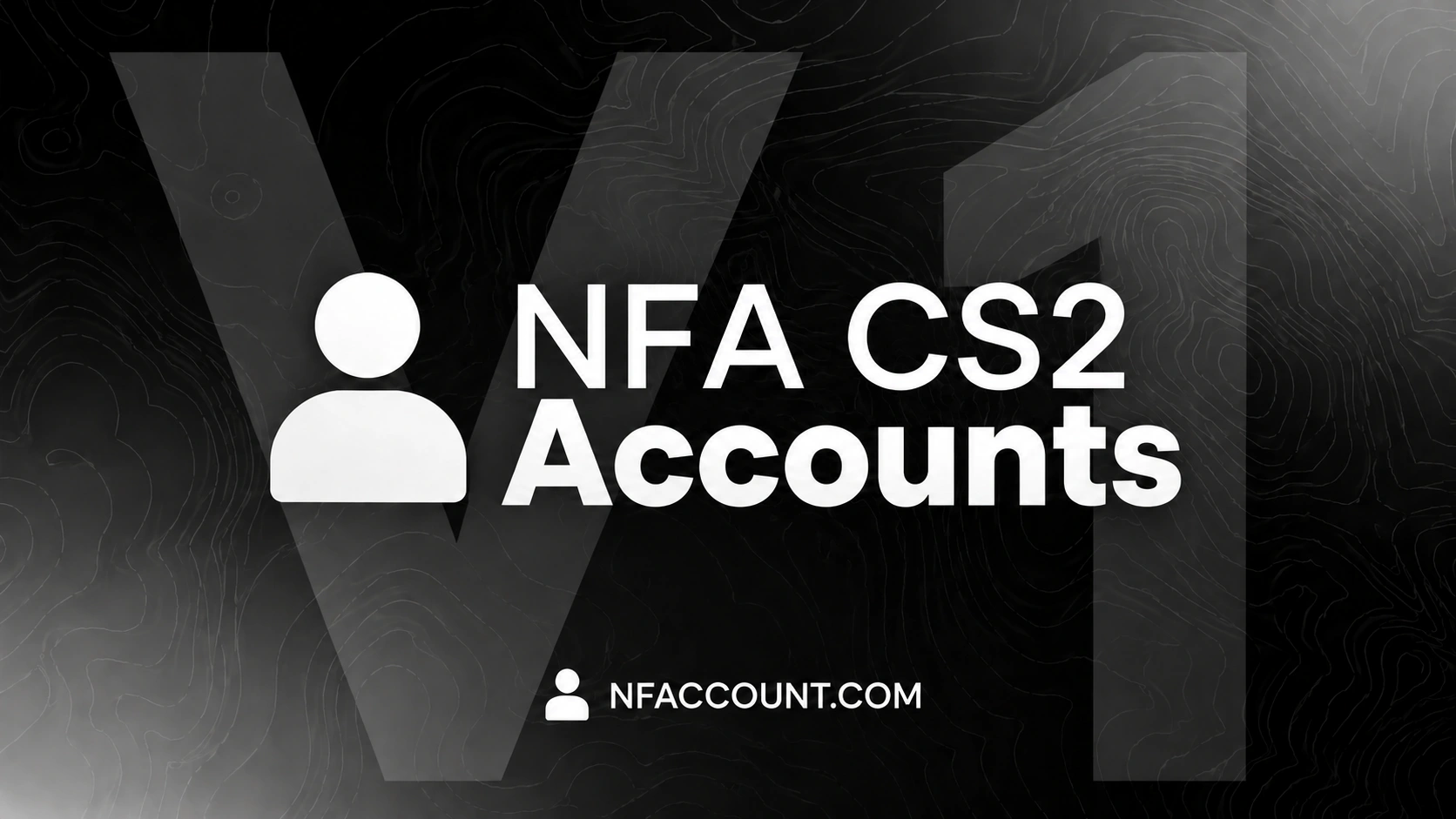 CS2 NFA V1